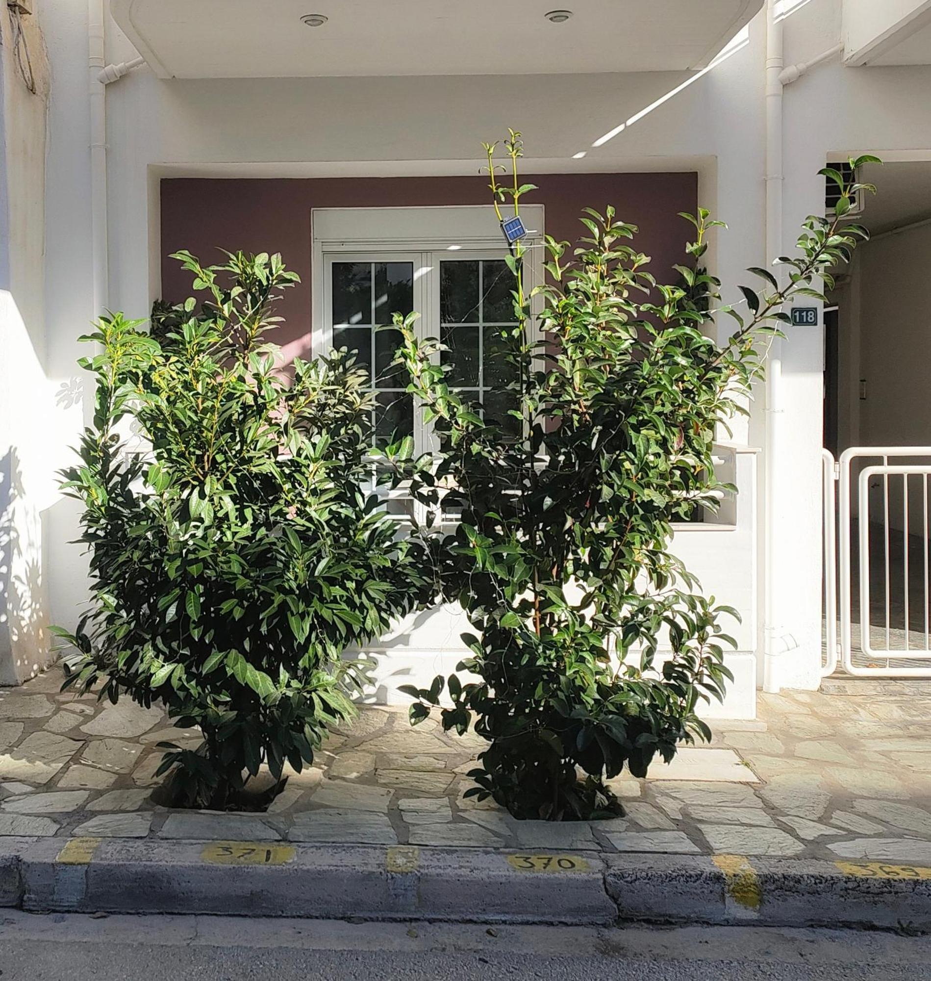 Home Volos Exterior foto